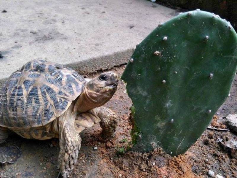 新加坡志愿服务合集!利用闲暇时间,一起来做志愿服务贡献爱心吧