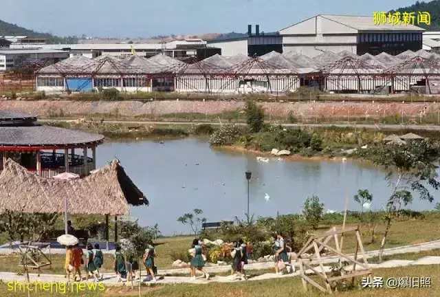 45 張照片,捕捉 1971 年新加坡的街景,來尋找中華文化的痕迹吧