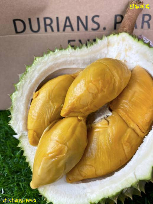 狮城榴梿季拉开序幕!该去哪里组个榴梿局呢