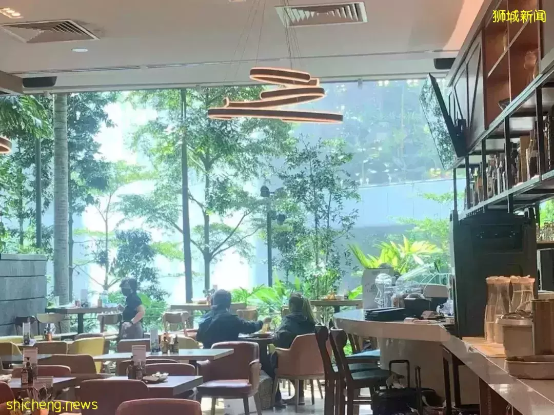 橫跨全島,我娃也要到這裏來玩,這個新加坡最佳遛娃地到底有什麽魅力