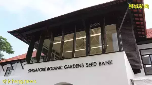 免費！新加坡排名第一的“家庭遊樂場”，竟然有這麽多項目我還沒玩過