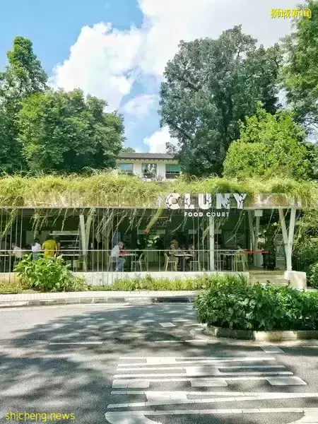 免費！新加坡排名第一的“家庭遊樂場”，竟然有這麽多項目我還沒玩過