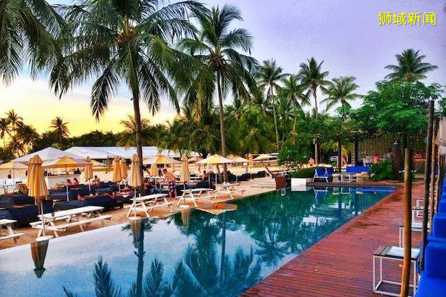 狮城美味 静享绿意,户外cafe等你来打卡