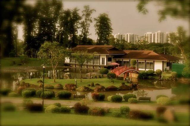 新加坡10个最美公园告诉你,花园城市有多美