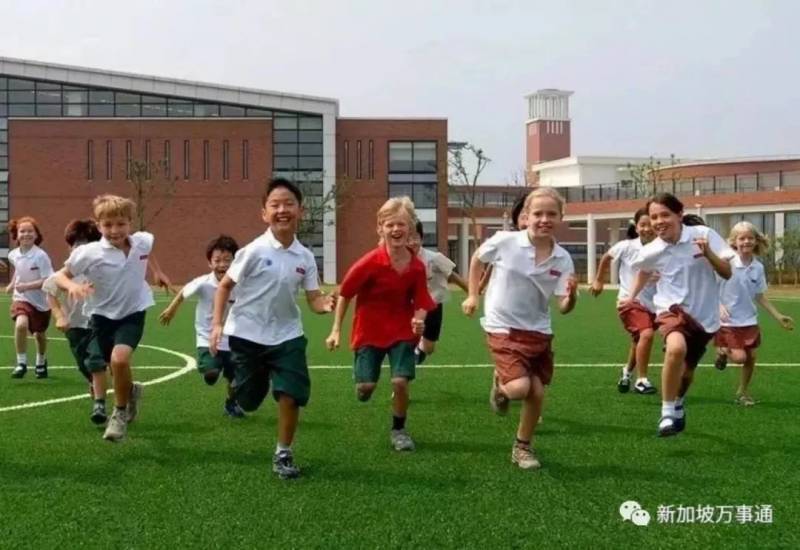 万万没想到，中国留学生们在新加坡竟都经历了这些事儿