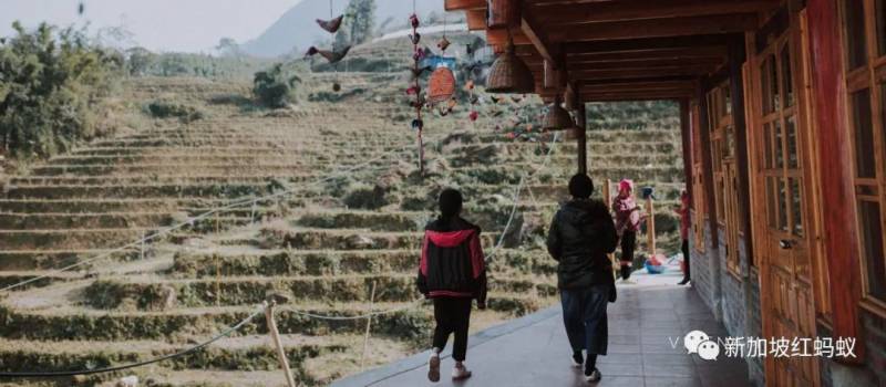 圣诞节如何收获双倍幸福? 答案就在这些非一般的礼物里