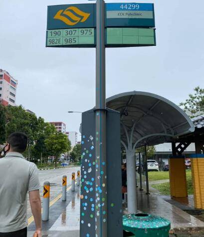 新加坡“素质”被全球“窥见”,网友感叹:素质每况愈下