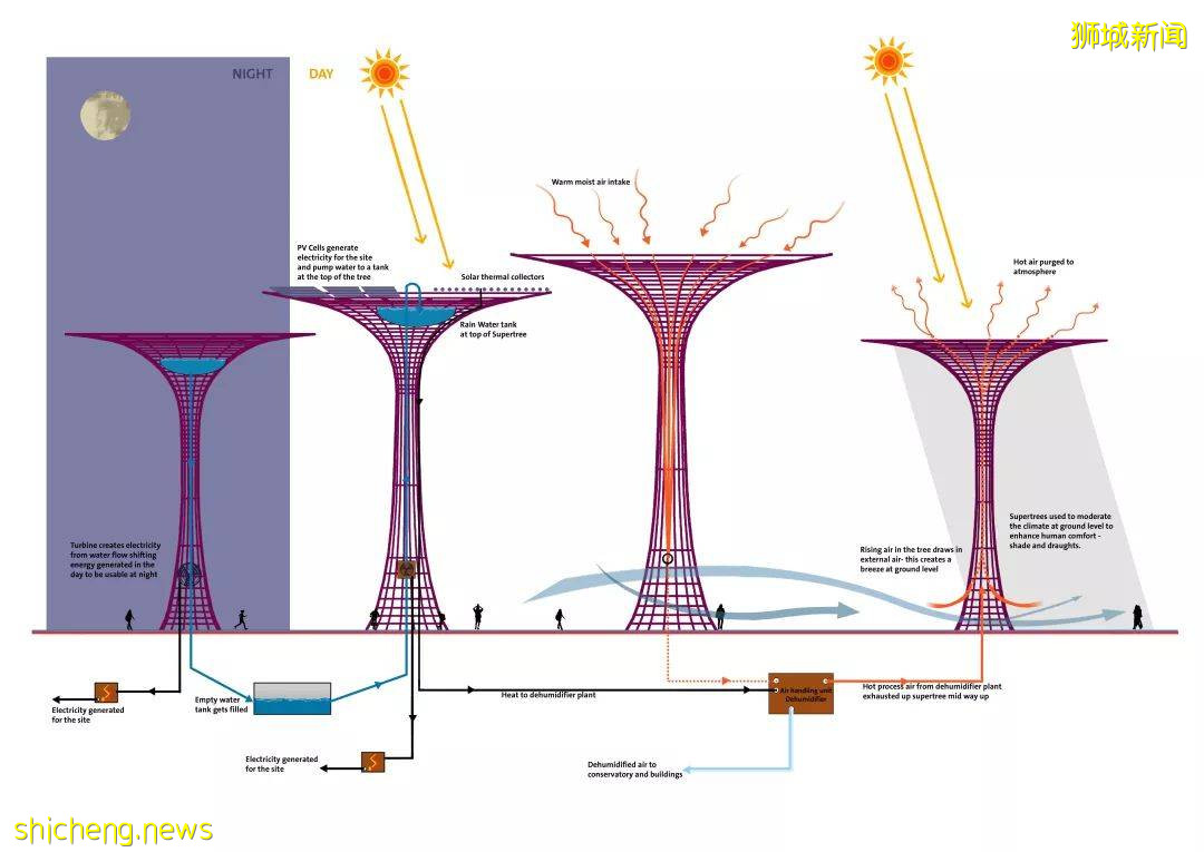 新加坡頂級設計，都在這裏