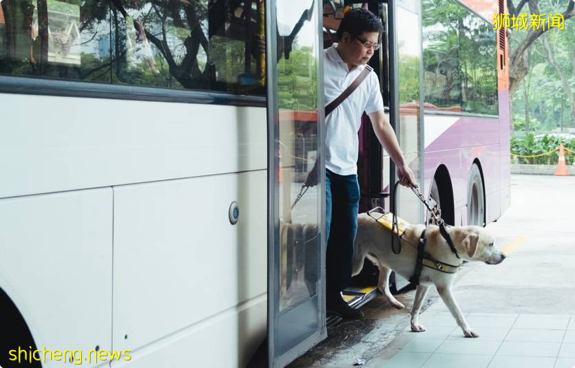 本地許多餐飲場所, 交通和私人計程車還是不能接受“導盲犬”