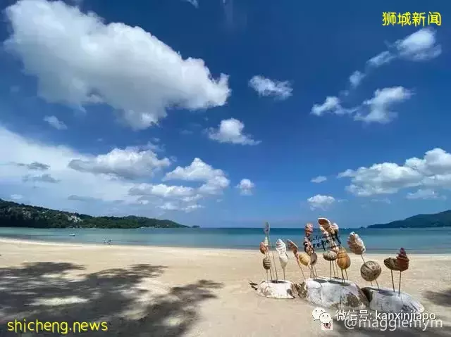 记录疫情下的首次跨国旅行,新加坡飞泰国全攻略