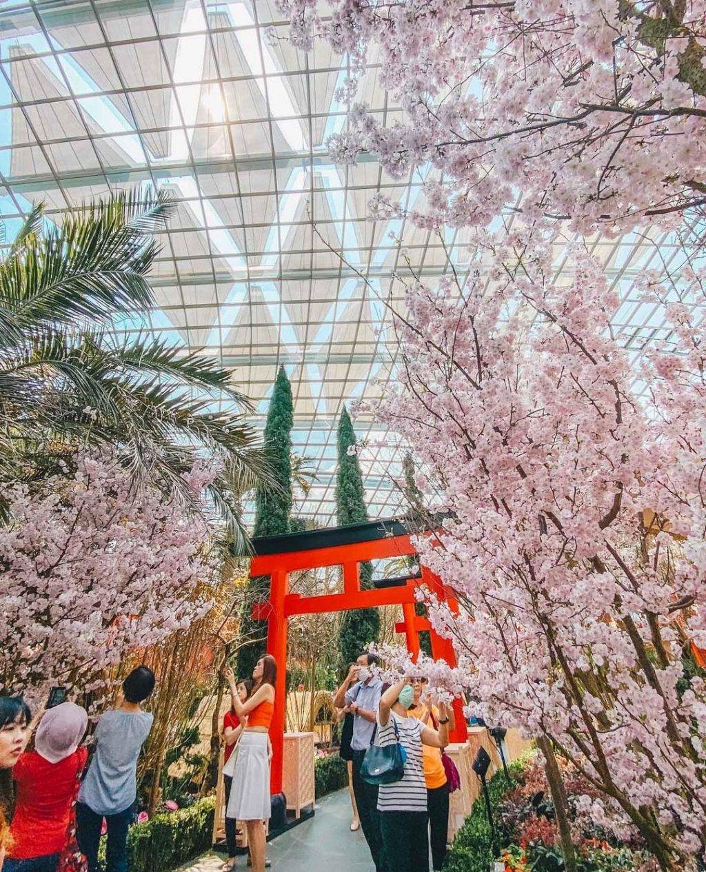 好康福利站🛎 3月份吃喝玩樂攻略!限時活動+最新開幕+打折優惠💥 周末再也不無聊