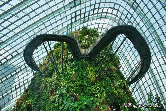 漫遊新加坡,帶孩子去哪玩?