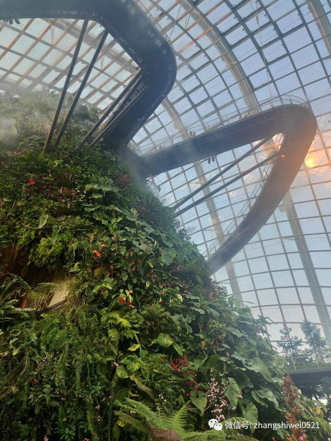 新加坡遊記系列 常規又不常規的獅城遊覽