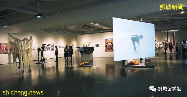 亞洲當代藝術與設計的高等學府 新加坡拉薩爾藝術學院