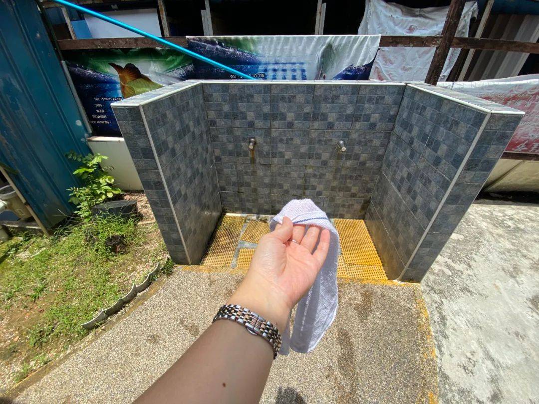 餵羊、擠奶、了解青蛙生長過程,新加坡的農場這麽牛