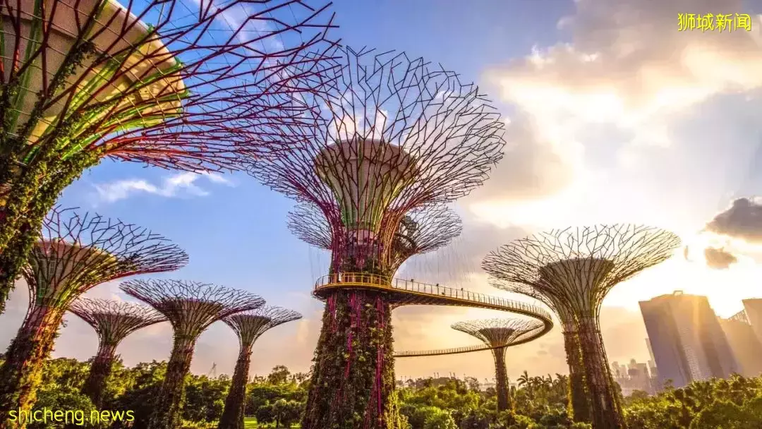 新加坡買房 LIV@MB 東海岸富人區瑰寶樓盤 近地鐵戶型超贊