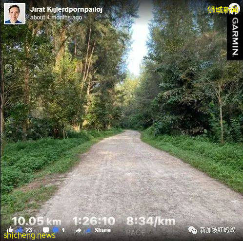 新加坡其实有两个虎豹别墅,其中一个就建在这个未开发的小岛上