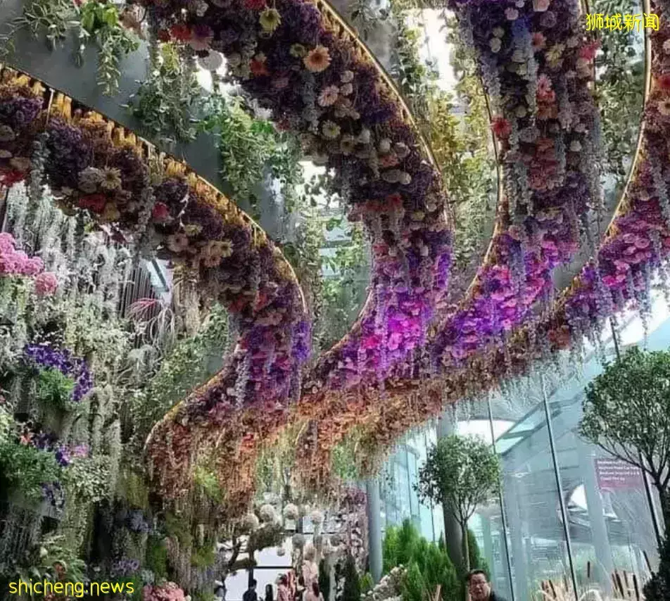 几十张图带你了解别样的新加坡