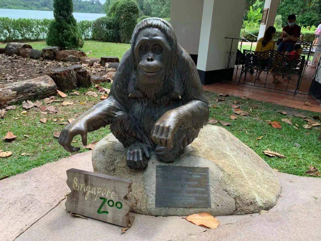 行走獅城——新加坡動物園