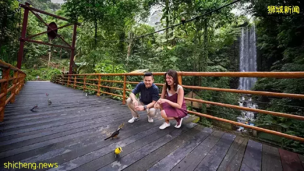 裕廊飞禽公园火烈鸟Staycation,现已开放预订!2天1夜活动超精彩,近距离与小动物互动接触🦩