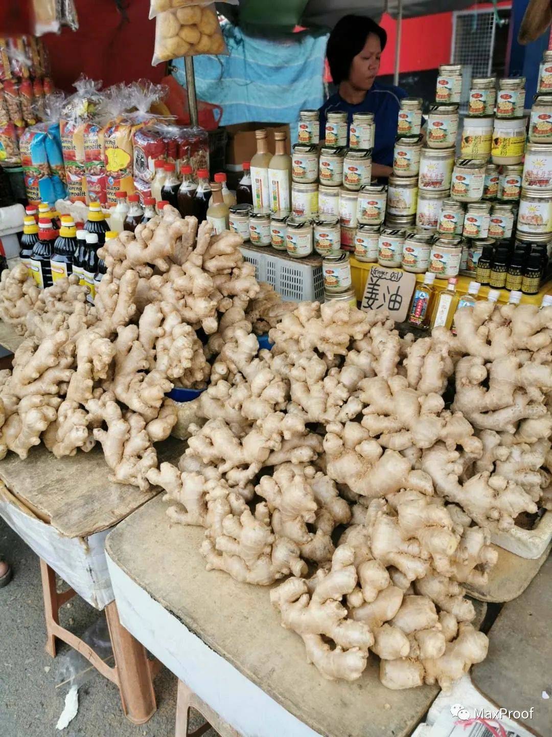 新加坡自由行 獅城人氣景點走起