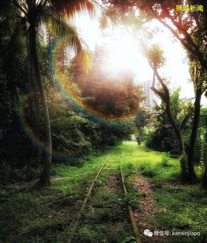 解封第二阶段过去14天了,新加坡的整体状况如何