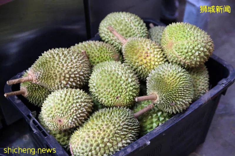 榴梿供應無阻 下周價格或下降!