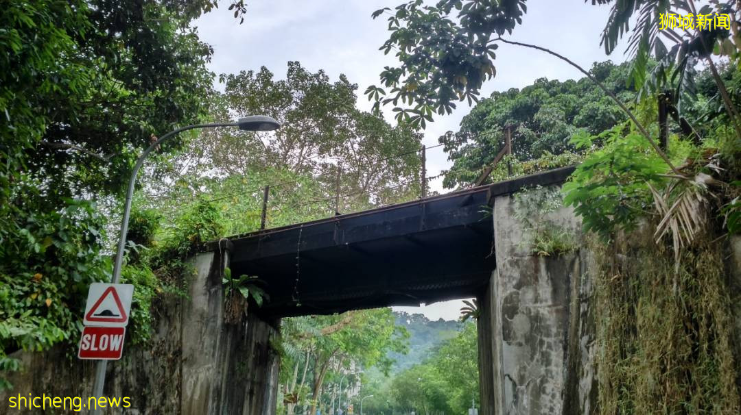 揭秘新加坡最新最热网红打卡地