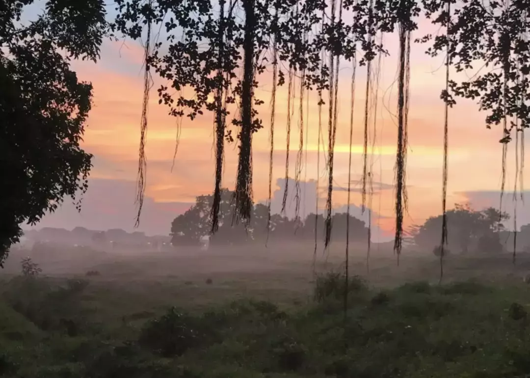 假期出遊第二彈 新加坡隱藏的“寶藏”勝地