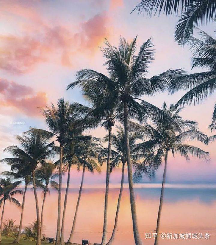 旅行的意義—攝影攻略之巴西立地鐵站