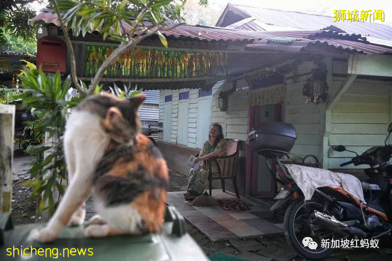 新加坡这些别有洞天的小众景点 稍不留神就会错过