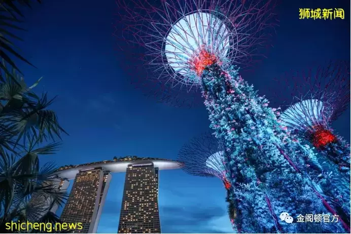 新加坡公司注冊（下）新加坡公司注冊的類型