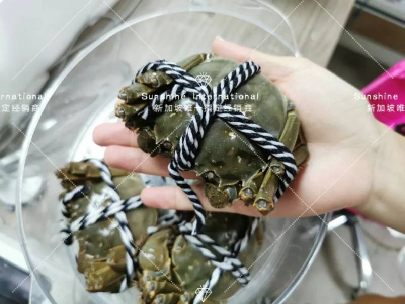 秋天來了 NTU的學生都在這裏領取了他們的陽澄湖大閘蟹