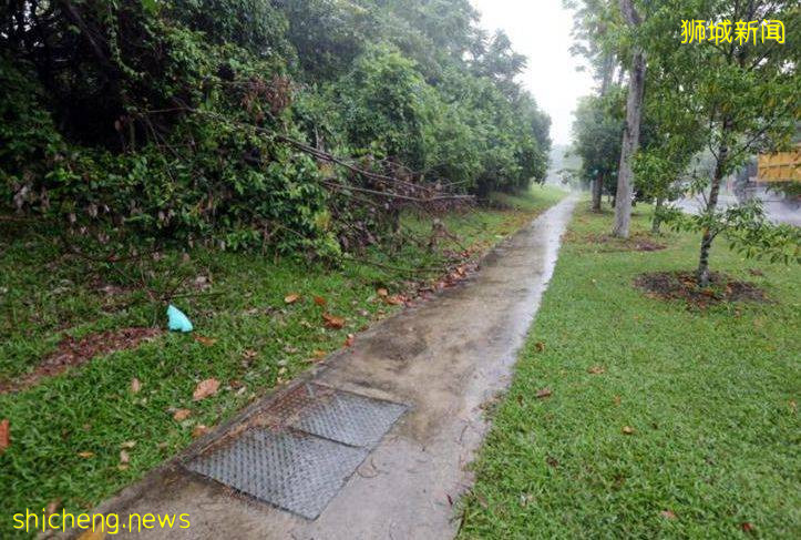 罕見！新加坡女子走夜路，遭遇陌生男子捂嘴、強抱、非禮