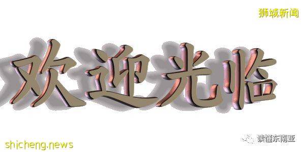 【新加坡新聞】新加坡大力打擊網絡犯罪