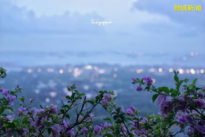 你爲什麽需要新加坡？旅行家、企業家、未來家來告訴你