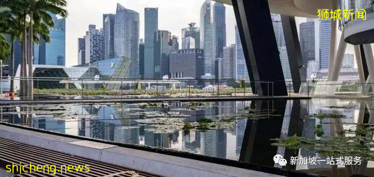 加密货币公司转战新加坡....新加坡监管环境友好