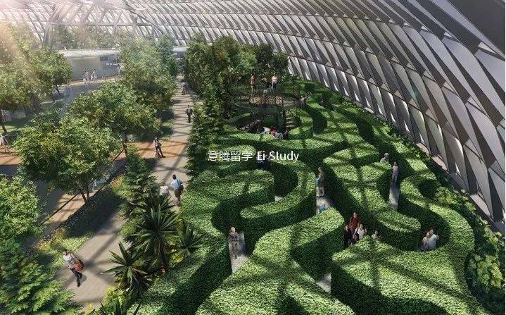 疫情之下的樟宜机场PART2