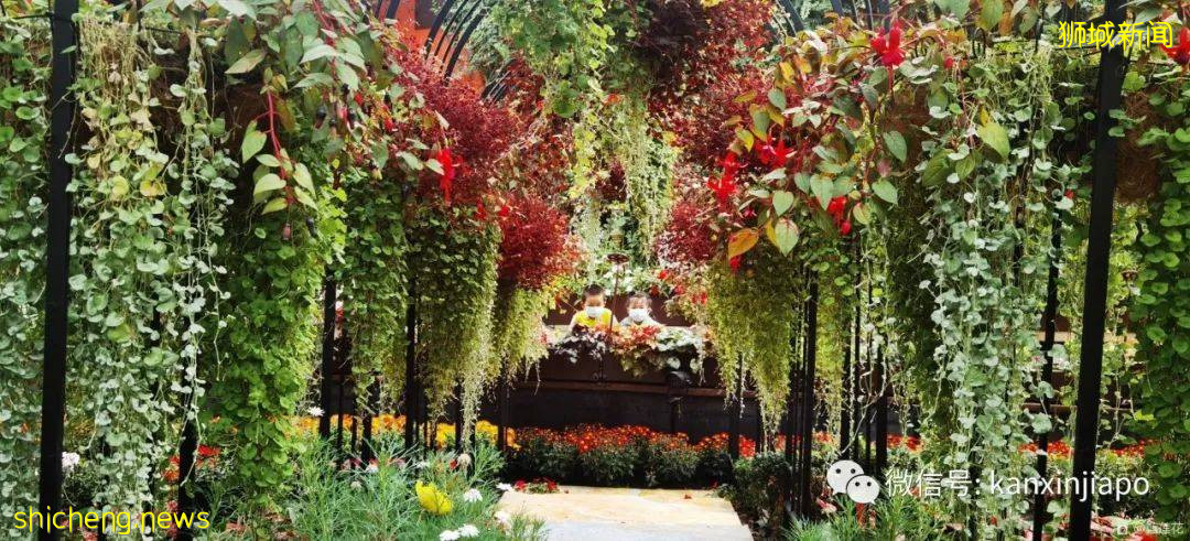 新加坡親子好去處！濱海灣～花穹～雲霧森林～空中步道半日遊