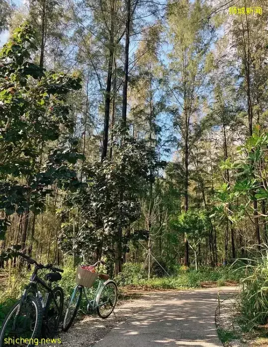 在新加坡的東北部,有個隱秘的小島!不用坐船,每天限時開放