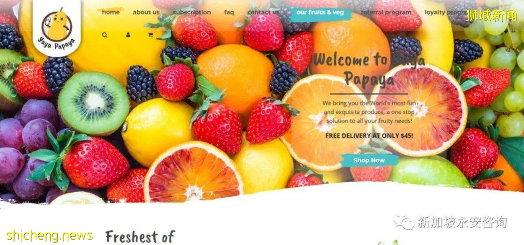 新加坡電商大盤點:“疫”路相伴,百家爭鳴