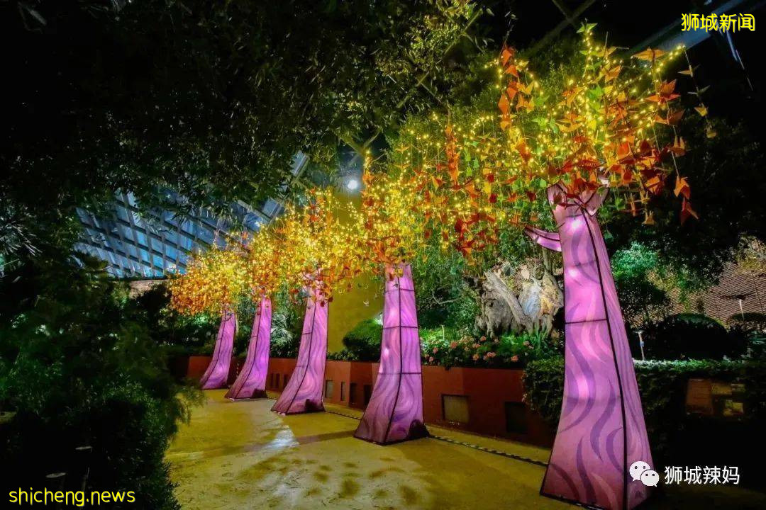 限時免費！新加坡濱海灣花穹兒童免費進，還有米菲燈展、祈福天燈、千鶴祈願