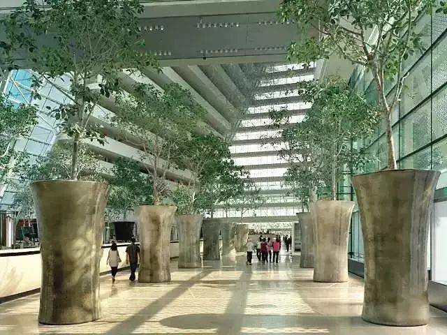 新加坡最亮眼的地标，不愧是它！！能在这儿工作一定不要错过