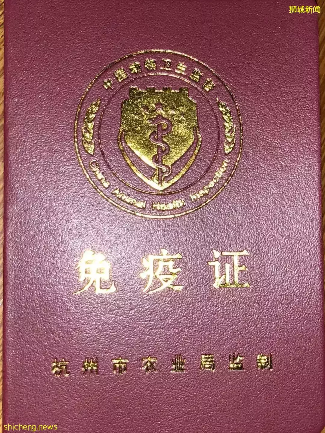 耗时6个月,隔离30天,我的宝贝终于来新加坡跟我团聚了