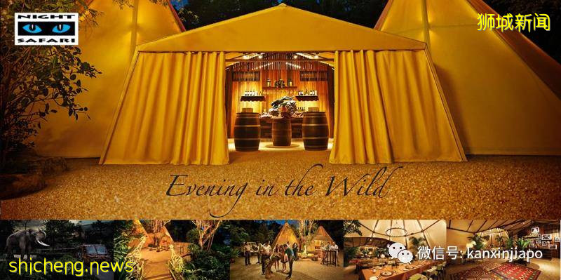 【下周活動】兩人豪華自助餐半價！​匡威4折、阿迪達斯5折