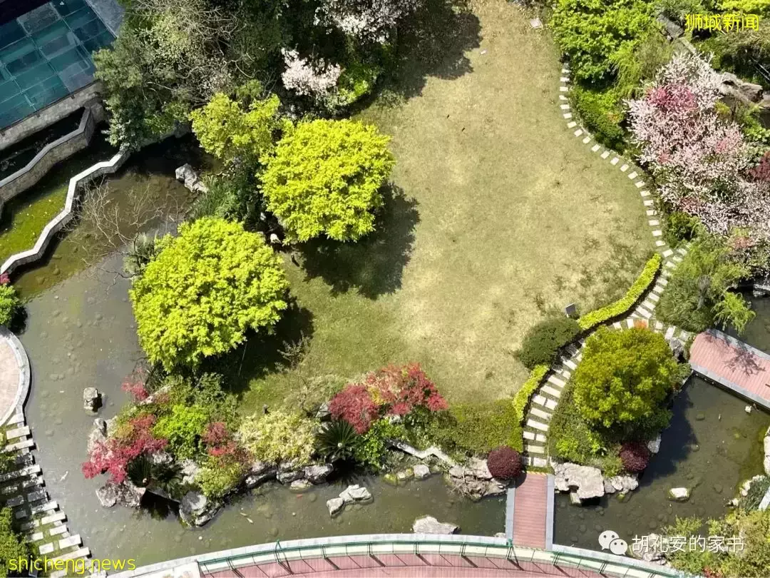 “从新加坡回到上海,封锁一再延长,我被卷入了这场前所未有的大事件”