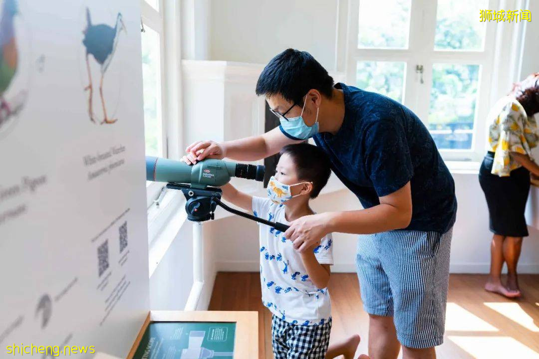 叢林遊樂場、自然博物館、山路徒步……新加坡這個公園翻新後更好玩啦