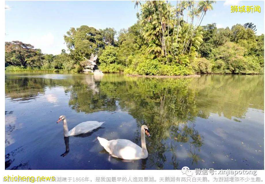 疫情下新加坡成超級富豪的避風港?竟有400個家族管理辦公室