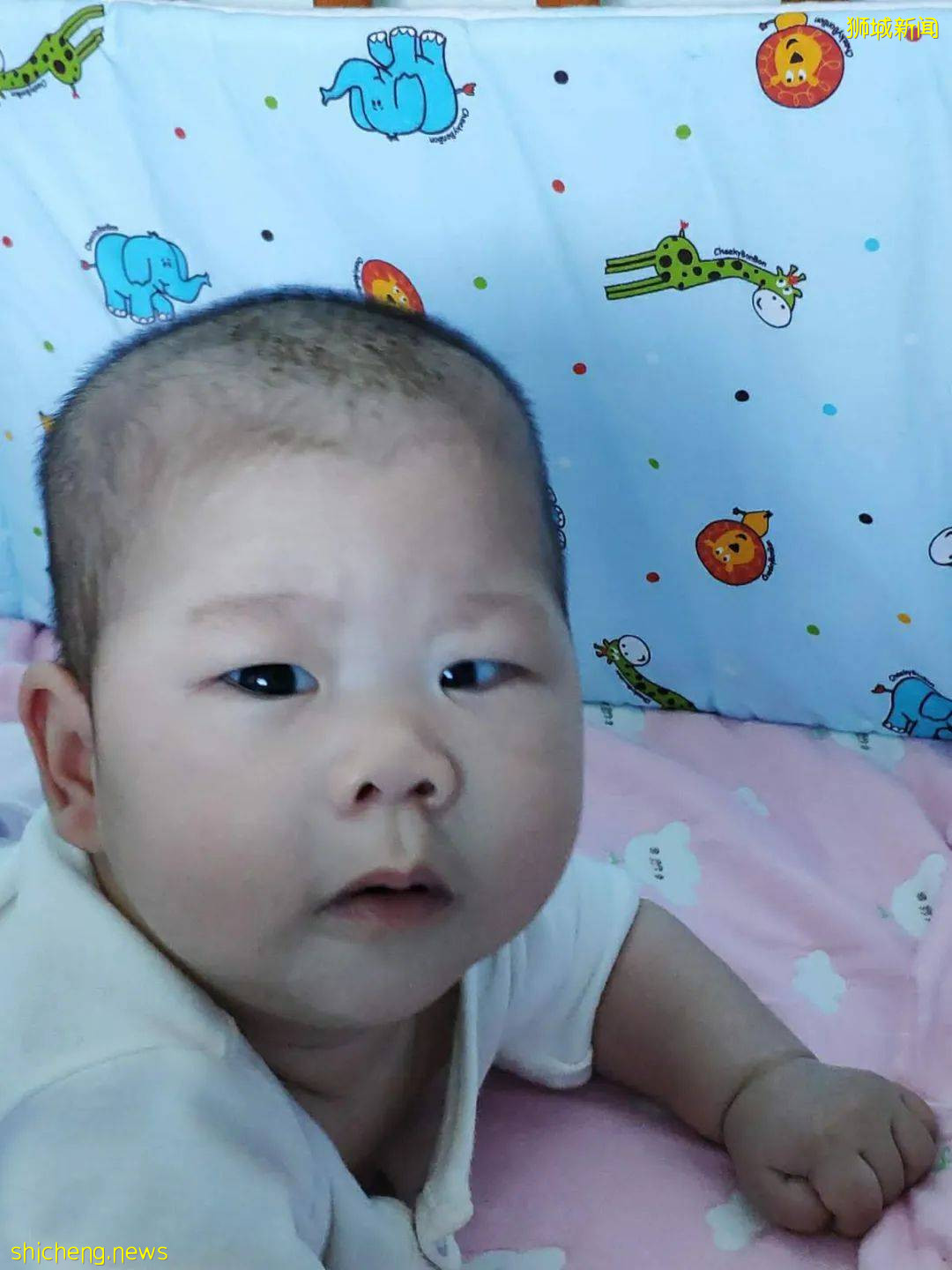 淚目！眼癌、腭裂、呼吸困難……我的寶寶在新加坡剛出生，就開始迎接挑戰