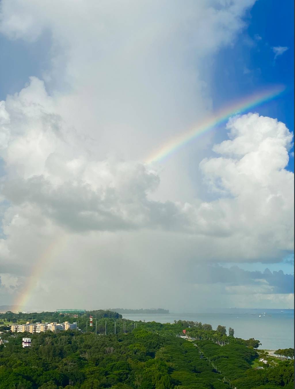 2020年,新加坡发生的11个奇葩小事儿